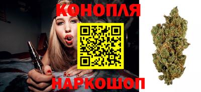 стаф Краснознаменск