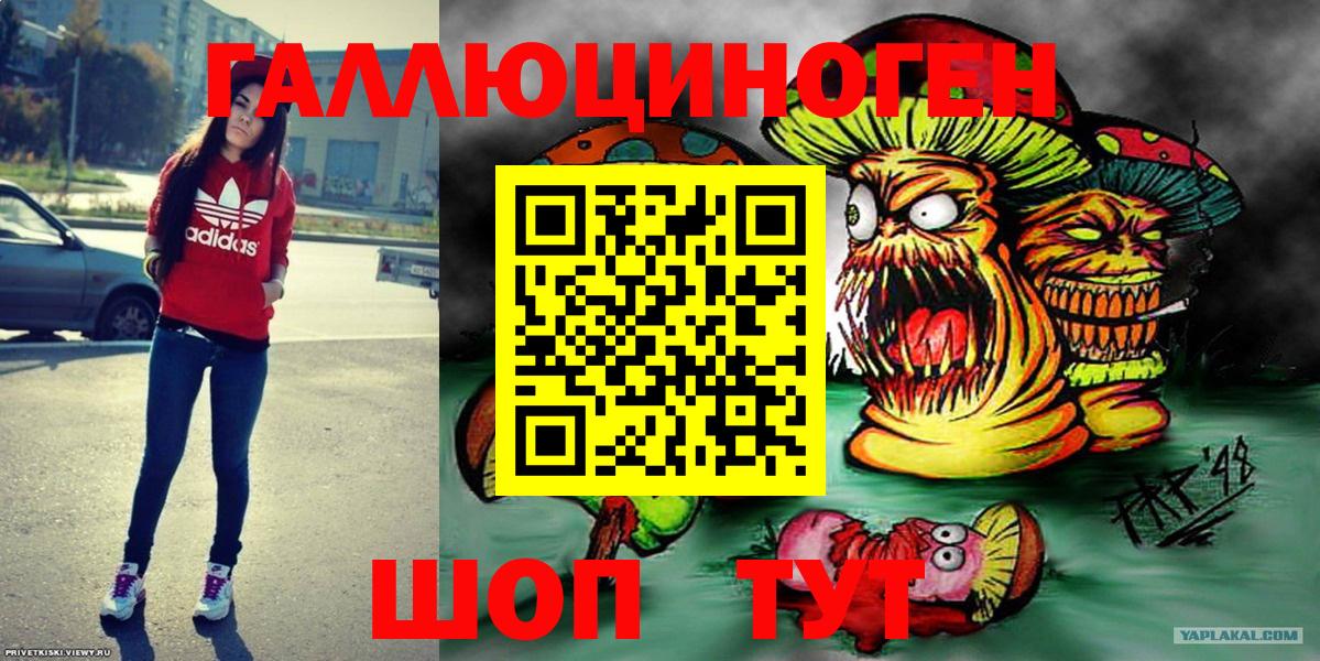 Псилоцибиновые грибы Psilocybe Дубна