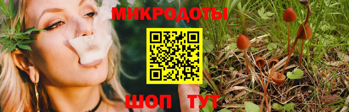 Галлюциногенные грибы MAGIC MUSHROOMS  Вход с VPN  Дубна 